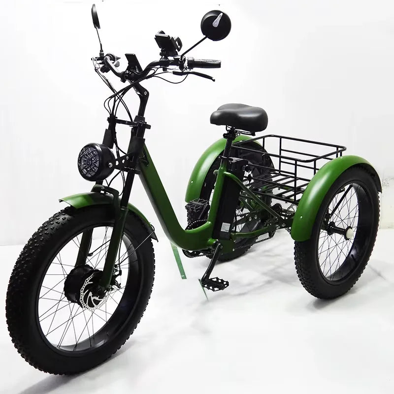 24 Inch Tire Electric Bike 750W 48V Powerful Three-Wheel Cargo Electric Tricycle for Adults and Elderly with Removable