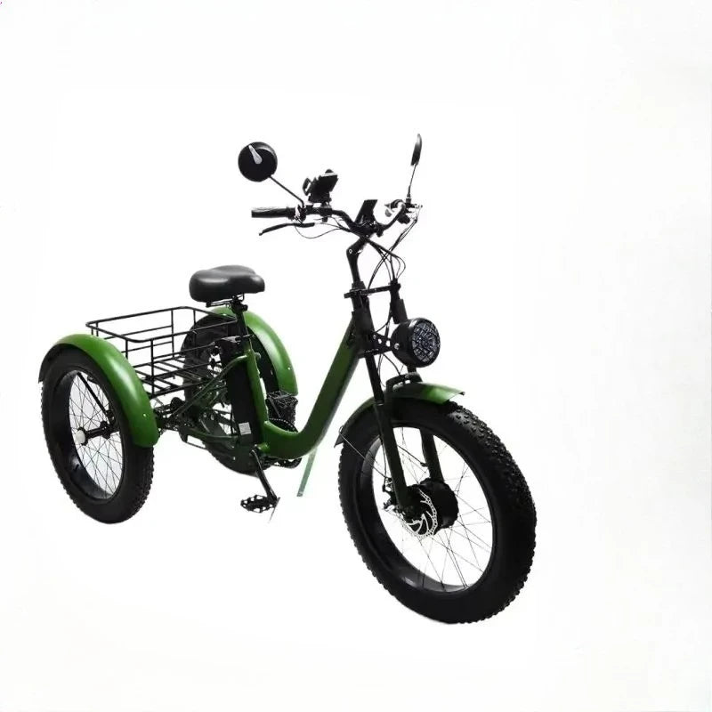 24 Inch Tire Electric Bike 750W 48V Powerful Three-Wheel Cargo Electric Tricycle for Adults and Elderly with Removable