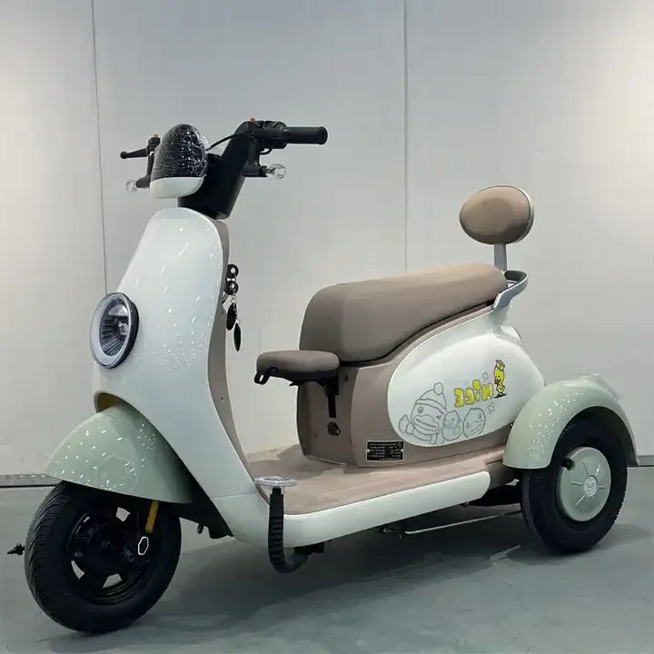 Hot Sale Electric Tricycle Bike Adult 3 Wheel Electric Bicycle with Fat Tire Electric Tricycle with Roof