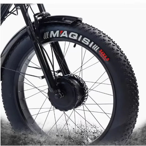 24 Inch Tire Electric Bike 750W 48V Powerful Three-Wheel Cargo Electric Tricycle for Adults and Elderly with Removable