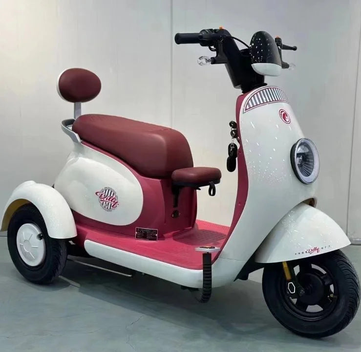 Hot Sale Electric Tricycle Bike Adult 3 Wheel Electric Bicycle with Fat Tire Electric Tricycle with Roof