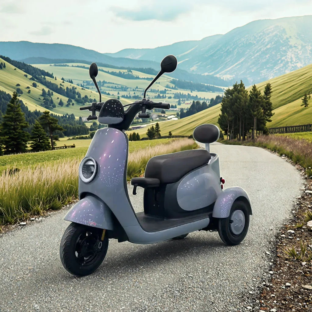 Hot Sale Electric Tricycle Bike Adult 3 Wheel Electric Bicycle with Fat Tire Electric Tricycle with Roof