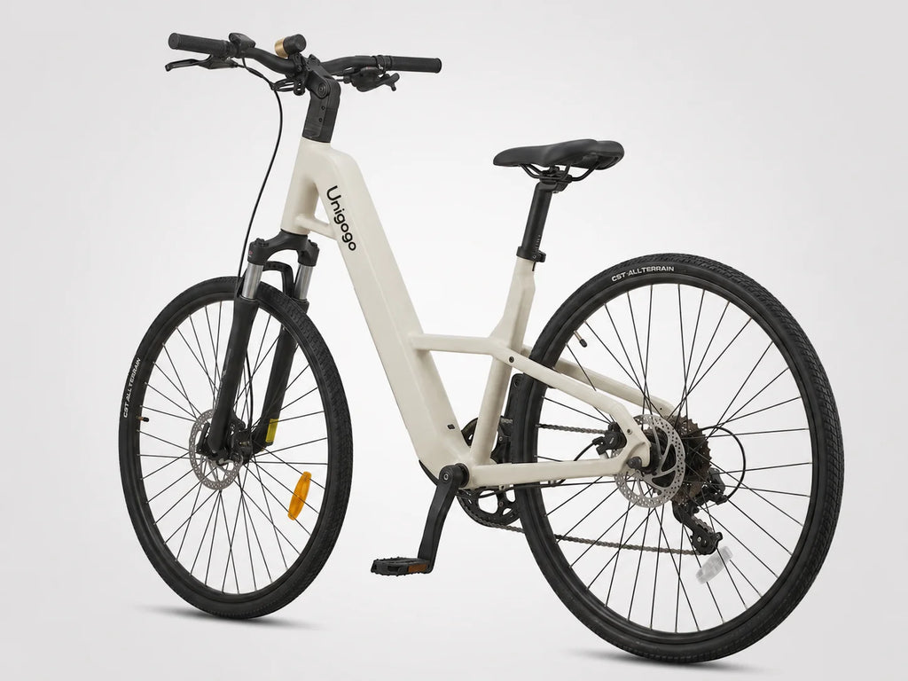 M6 OEM Carbon Fiber Electric Bike 250W Lightweight City Ebike Adult Urban Commuter Road Electric Bicycle