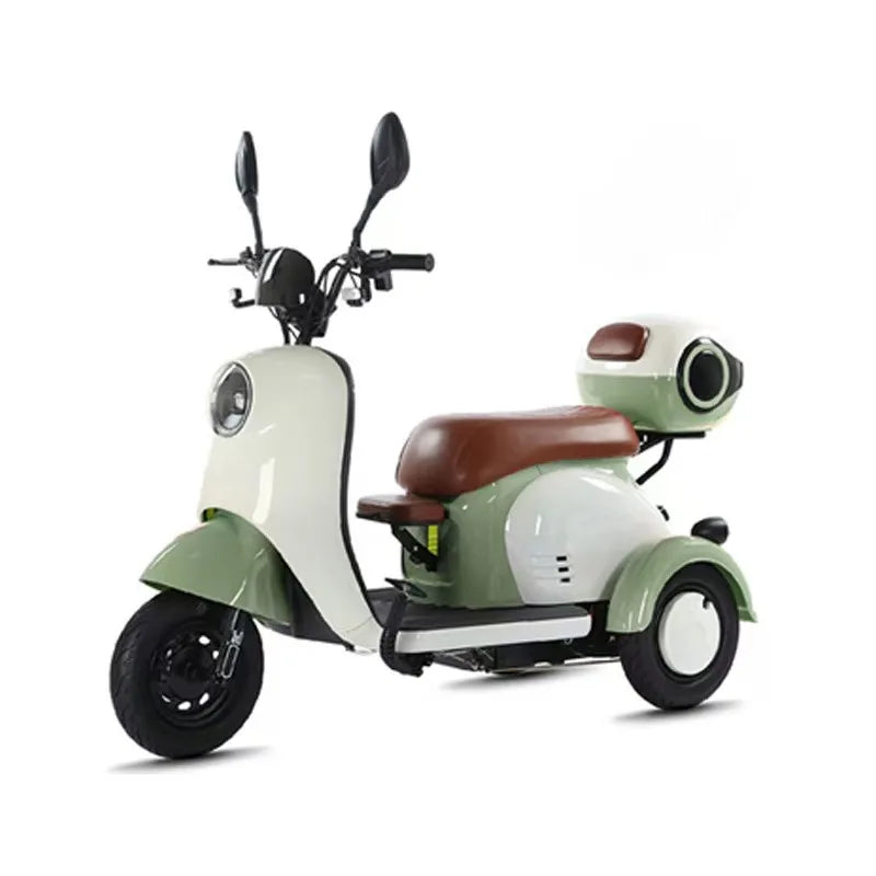 Hot Sale Electric Tricycle Bike Adult 3 Wheel Electric Bicycle with Fat Tire Electric Tricycle with Roof