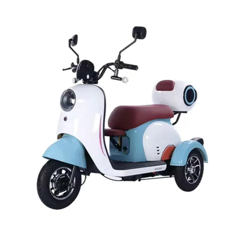 Hot Sale Electric Tricycle Bike Adult 3 Wheel Electric Bicycle with Fat Tire Electric Tricycle with Roof
