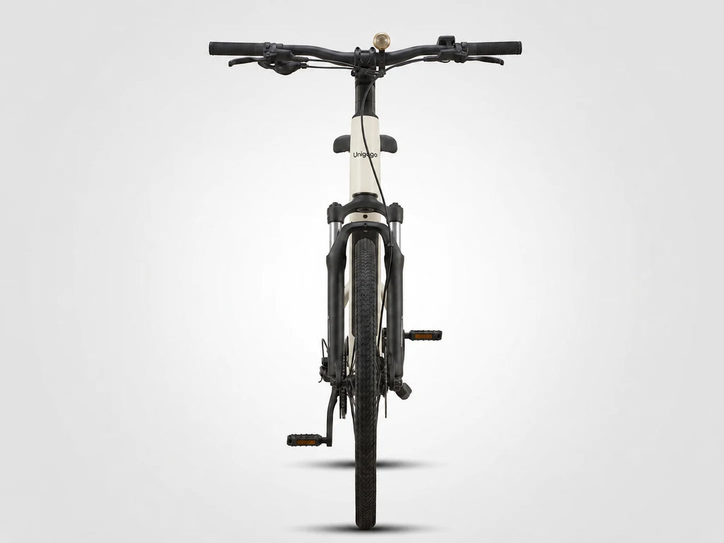 M6 OEM Carbon Fiber Electric Bike 250W Lightweight City Ebike Adult Urban Commuter Road Electric Bicycle
