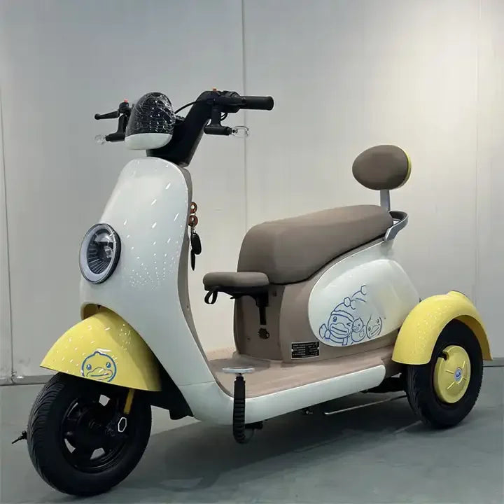 Hot Sale Electric Tricycle Bike Adult 3 Wheel Electric Bicycle with Fat Tire Electric Tricycle with Roof